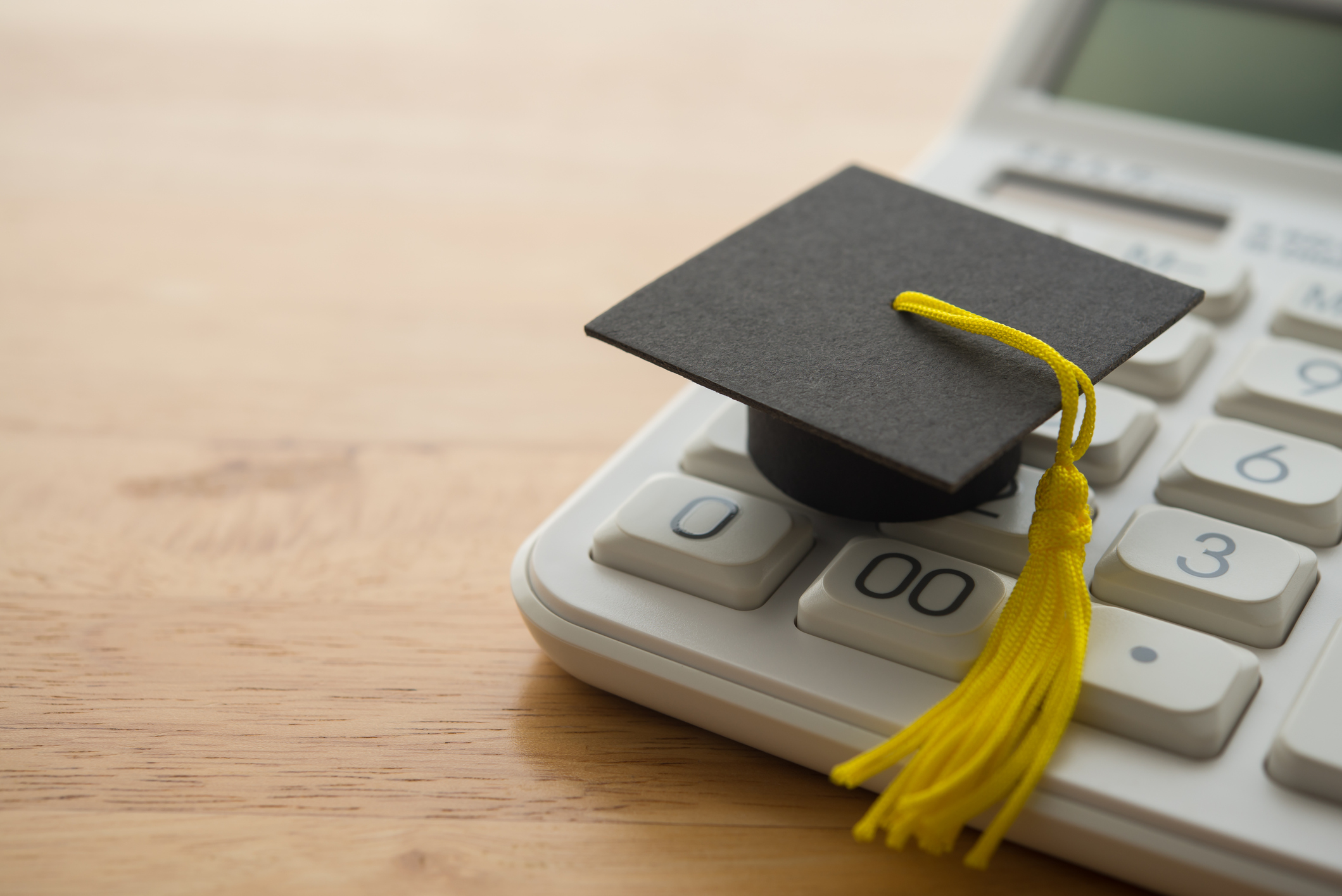The Price of an Education